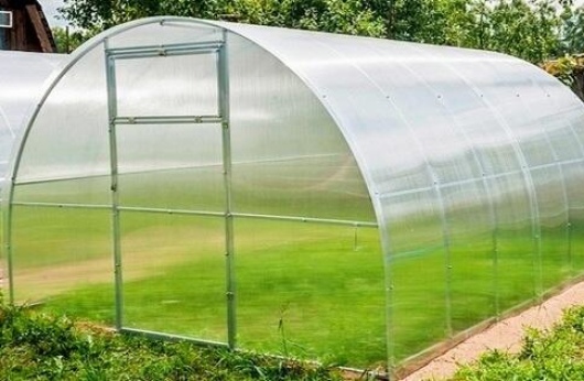 парник из поликарбоната с доставкой