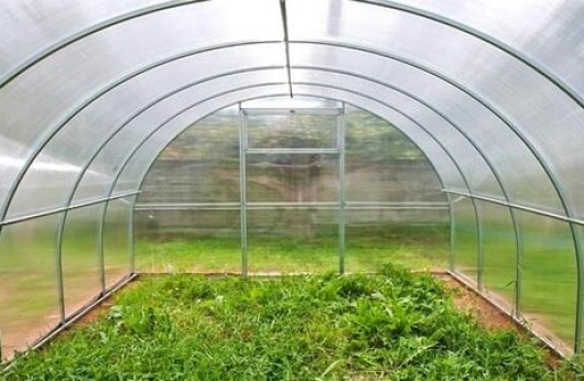 теплица из поликарбоната с доставкой в минске